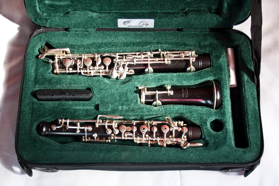 Oboe cabart semiprofesional 2 años uso