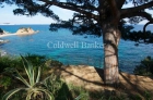Chalet en venta en Platja d'Aro, Girona (Costa Brava) - mejor precio | unprecio.es