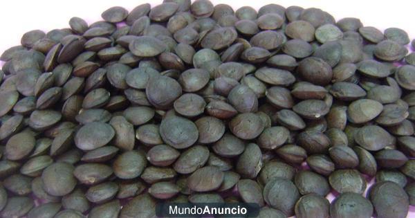 MACA, SACHA INCHI IMPORTACION DE PERU .PRODUCTOS NATURALES