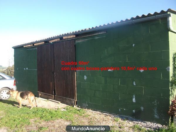 ALQUILER DE TERRENO Y CUADRAS PARA CABALLOS