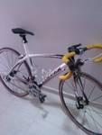 coluer chrono top carbon