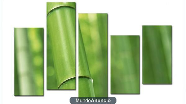 cuadro bambu de GALERIAMASTER