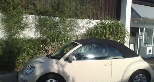 Volkswagen New Beetle Cabriolet 1.6