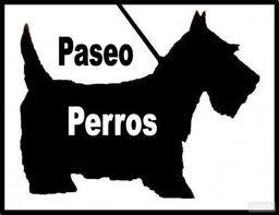 Cuidado de perros y gatos y otras mascotas, paseo, corte pelo, lavado