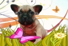 BULLDOG FRANCES CAMADA FAWN - mejor precio | unprecio.es