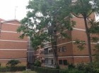 Piso en Madrid - mejor precio | unprecio.es