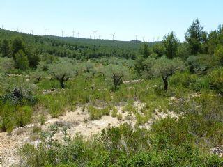 Finca/Casa Rural en venta en Perelló (El), Tarragona (Costa Dorada)