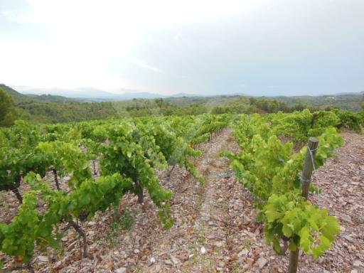 Masía en Bellmunt del Priorat