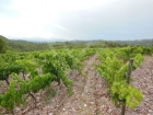 Masía en Bellmunt del Priorat - mejor precio | unprecio.es