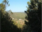 Terreno/Finca Rstica en venta en San Miguel/Sant Miquel de Balansat, Ibiza (Balearic Islands) - mejor precio | unprecio.es