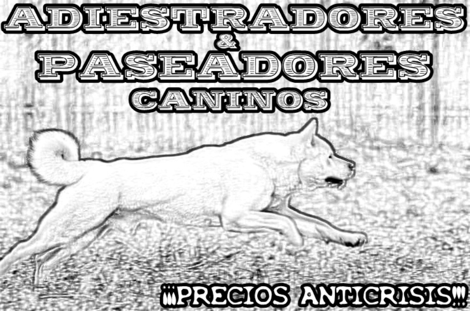 Paseadores y adiestradores ¡anticrisis!