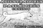 Paseadores y adiestradores ¡anticrisis! - mejor precio | unprecio.es