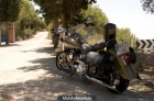 Harley Davidson Heritage Springer 2007 1600cc 6 marchas - mejor precio | unprecio.es