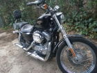 Harley Davidson Sportster 883 - mejor precio | unprecio.es