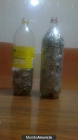 Vendo un botella de 2litros y otra a la mirad llena de anillas - mejor precio | unprecio.es
