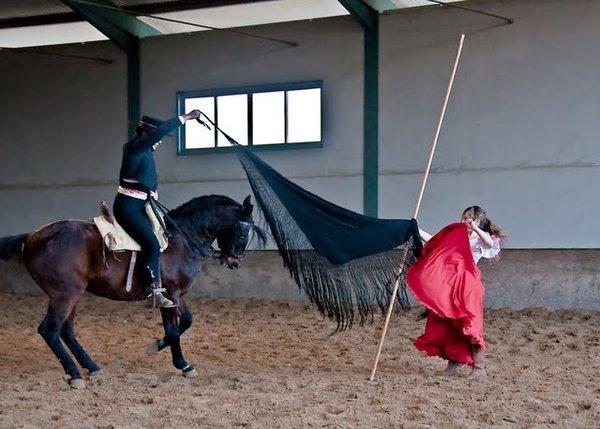 CABALLOS. COMPRA-VENTA,PASEOS,ESPECTACULOS...