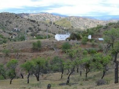 Chalet con 2 dormitorios se vende en Coin