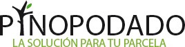 Empresa de tala de palmeras en Barcelona, Pinopodado
