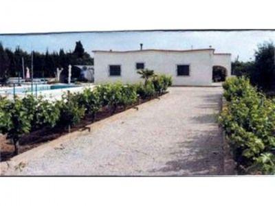 Finca/Casa Rural en venta en Crevillente/Crevillent, Alicante (Costa Blanca)