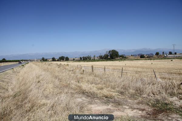 FINCA RUSTICA DE LABRANZA 36,50 Has ,OROPESA (Toledo)