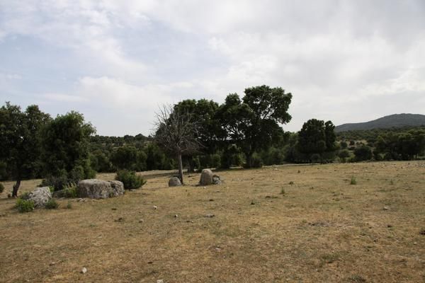 FINCA RUSTICA 37 HAS EN CANDELEDA CON DOS VIVIENDAS NUEVAS