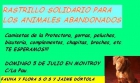 Rastrillo Solidario animales abandonados, 5 de Julio, os esperamos! - mejor precio | unprecio.es