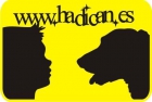 www.hadican.es // Cachorritos de diferentes razas con la Mejor Calidad de todo el Mercado // ** HADICAN ** // - mejor precio | unprecio.es