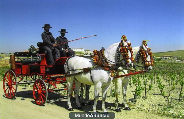 SE ALQUILA COCHE DE CABALLOS PARA FERIA ABRIL  Y DEMAS EVENTOS