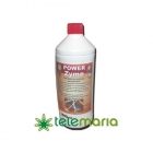 Powerzyme - mejor precio | unprecio.es