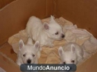 Regalo wasty - mejor precio | unprecio.es