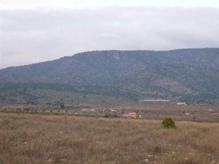 Terreno/Finca Rstica en venta en Pinoso, Alicante (Costa Blanca)