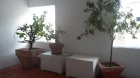 Piso en Puerto Banús - mejor precio | unprecio.es