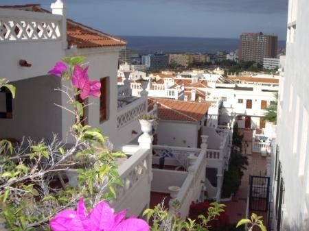 , 1ba   in Los Cristianos,  Canary Islands   - 95000  EUR