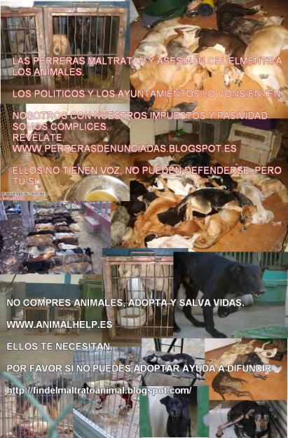 POR FAVOR NO COMPRES ANIMALES, ADOPTA Y SALVA VIDAS