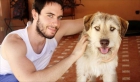 SCRUFFY, peluson de ojos verdes - mejor precio | unprecio.es
