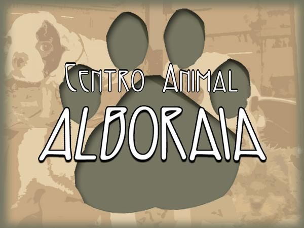 CACHORROS DE TODAS LAS RAZAS, CALIDAD EXCELENTE