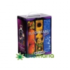Bloombastic box Ata/Coco - mejor precio | unprecio.es
