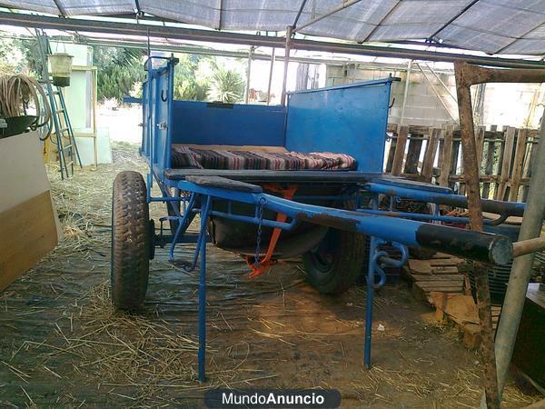 carro de caballos