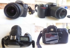 Camara Reflex Digital Nikon D80 + Objetivo Nikkor AF-S 18-55 mm - mejor precio | unprecio.es