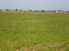 FINCA A 1 KM DEL PUEBLO Y 1 KM DE COLEGIOS A 20 KM DE NAVARCARNERO - mejor precio | unprecio.es