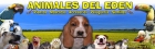 Peluqueria Canina y Felina en Tenerife ANIMALES DEL EDEN - mejor precio | unprecio.es