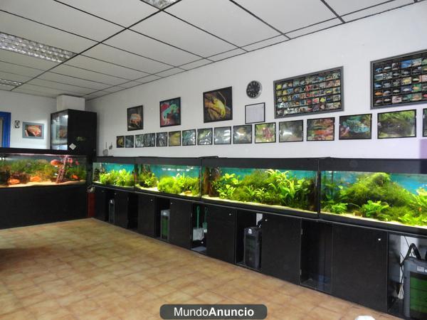 acuario 306L