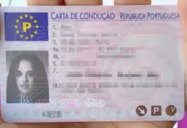 carnet conducir facil