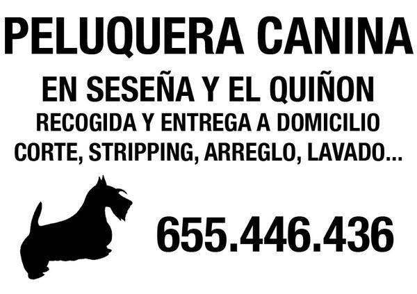 Peluquera Canina en Seseña y alrededores