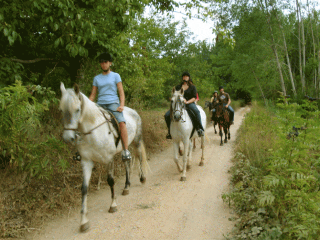 Paseos a caballo a 4 km del centro ciudad