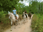 Paseos a caballo a 4 km del centro ciudad - mejor precio | unprecio.es