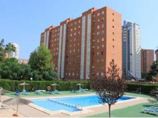 Piso en alquiler en Benidorm, Alicante (Costa Blanca)