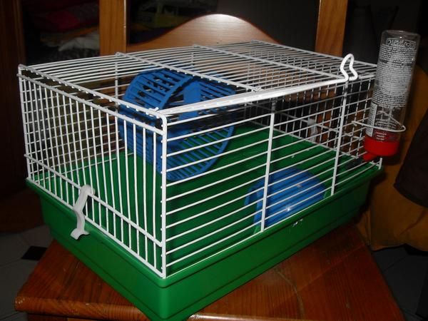 jaula para hamster