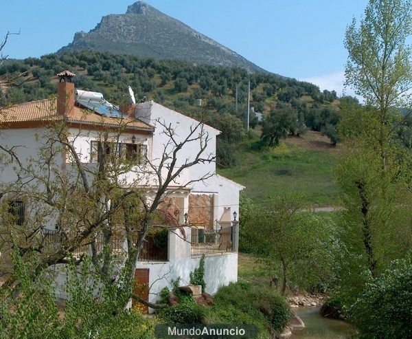 ALQUILER DE CORTIJO