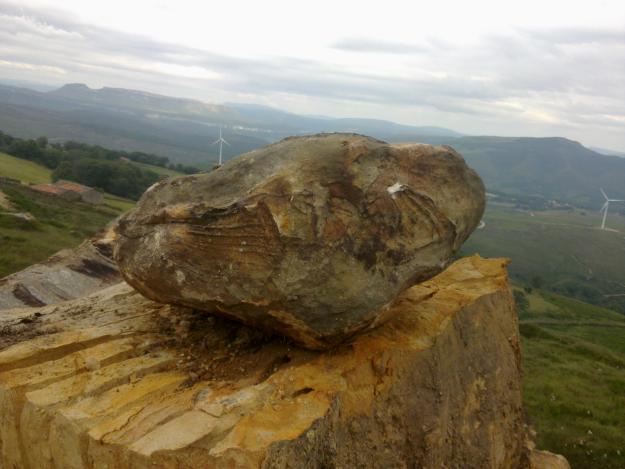 pieddra decorativa
